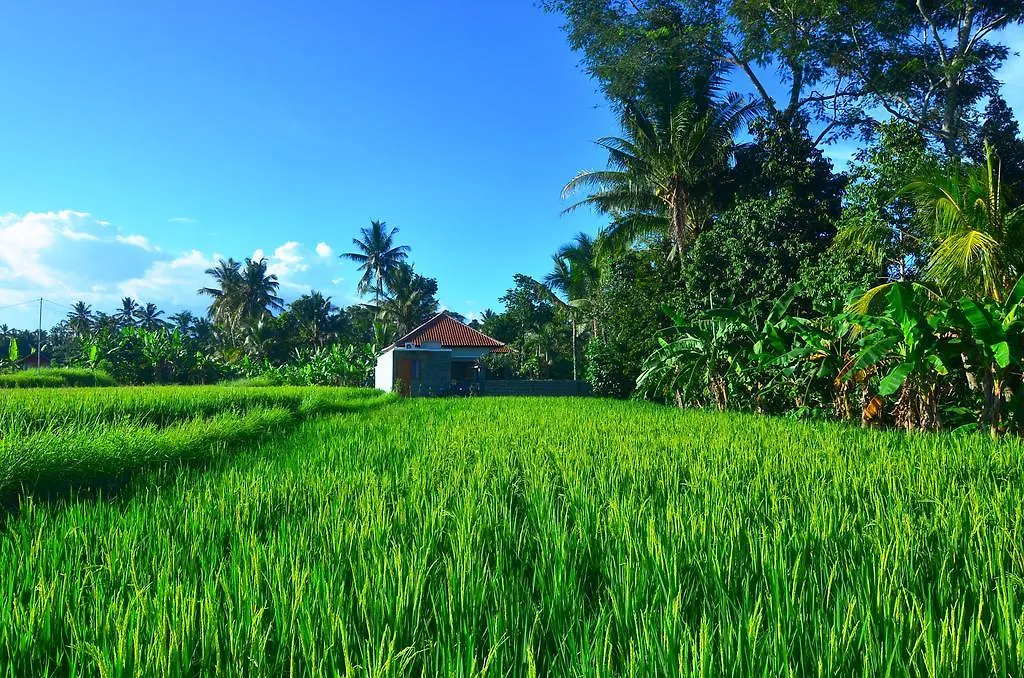 The Loyik Villa Ubud Indonezja