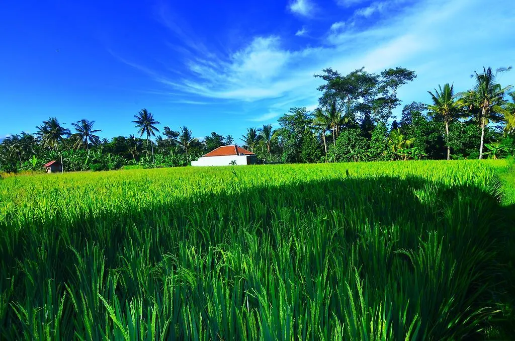 The Loyik Villa Ubud