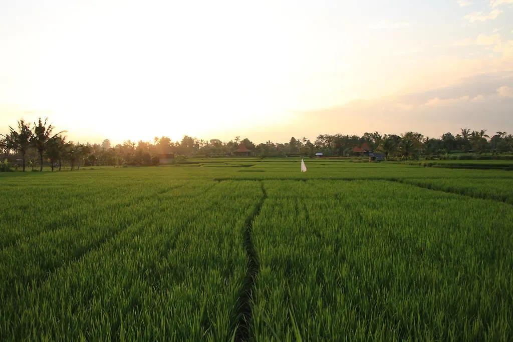 The Loyik Villa Ubud 0*,  Indonezja