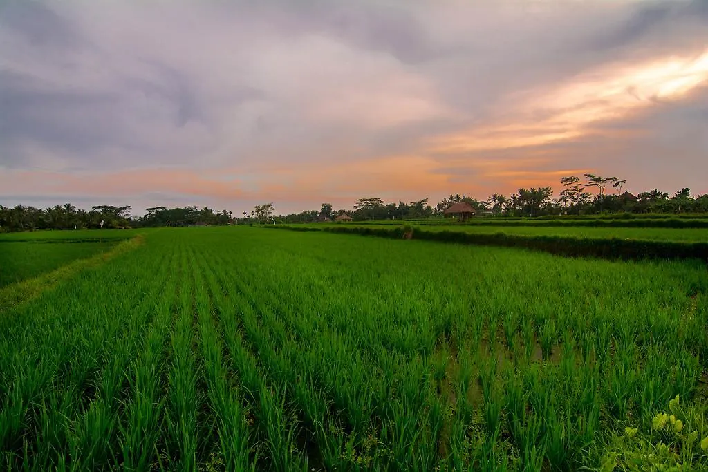 The Loyik Villa Ubud