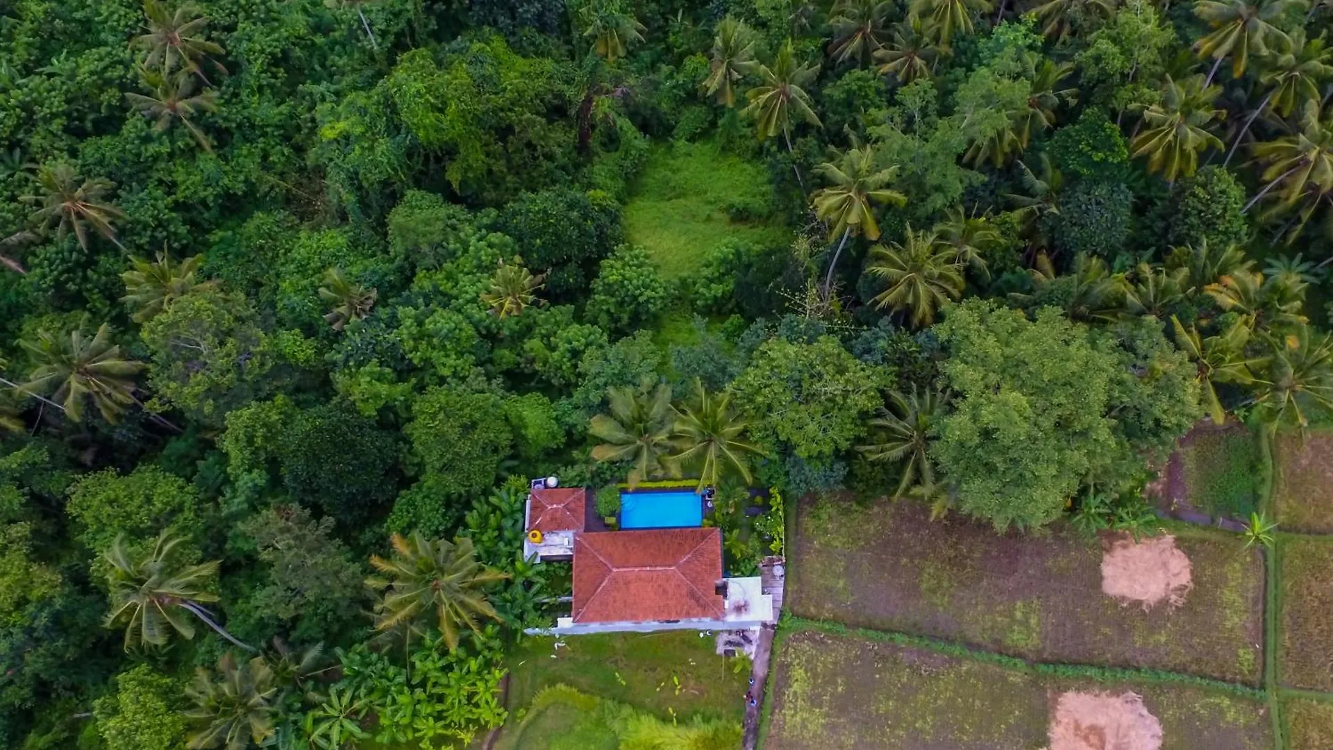 The Loyik Villa Ubud