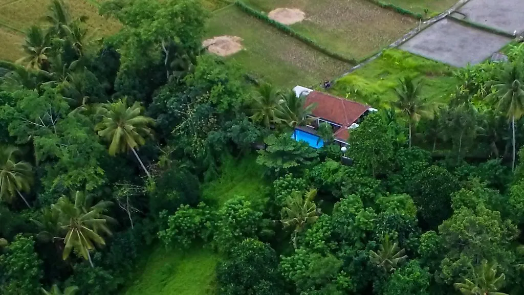 The Loyik Villa Ubud 0*,