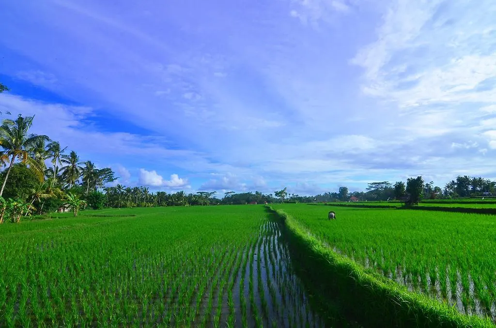 The Loyik Villa Ubud Ubud (Bali)